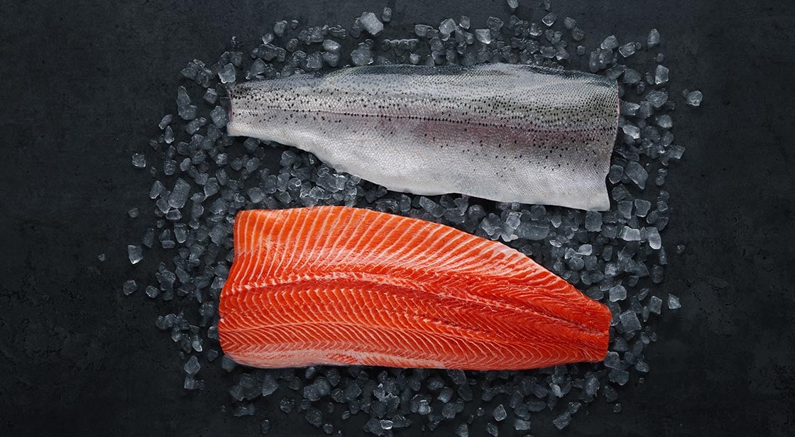 Norwegian fjord trout fillets