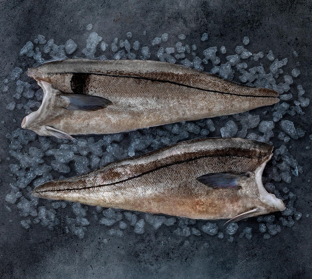 Norwegian haddock