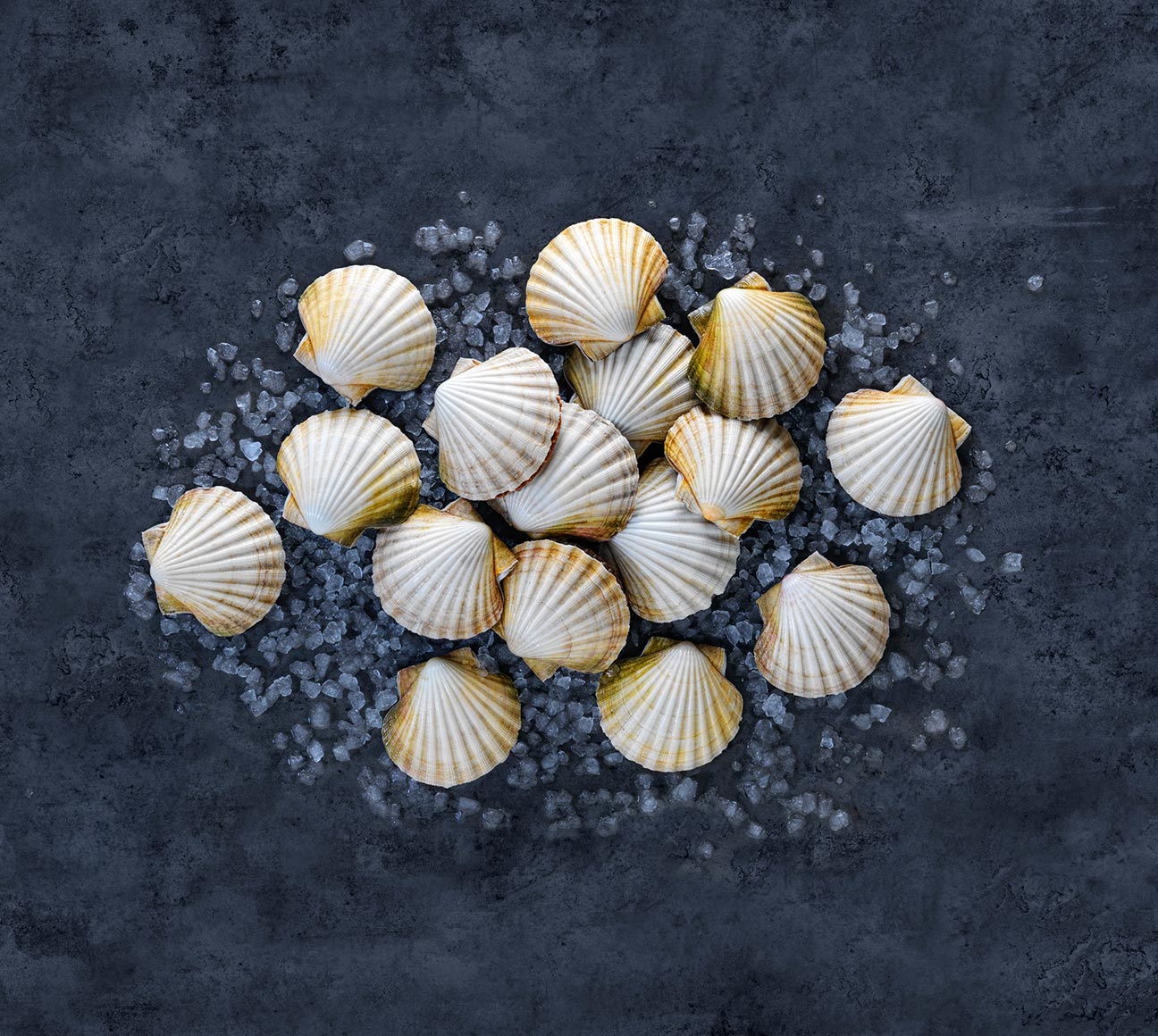 Norwegian king scallops
