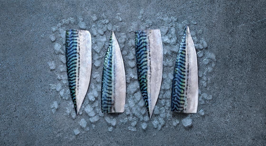 Norwegian mackerel fillets