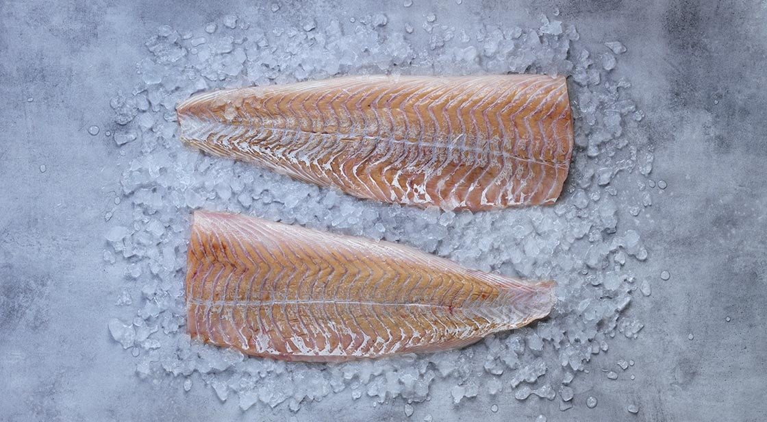 Norwegian saithe fillets