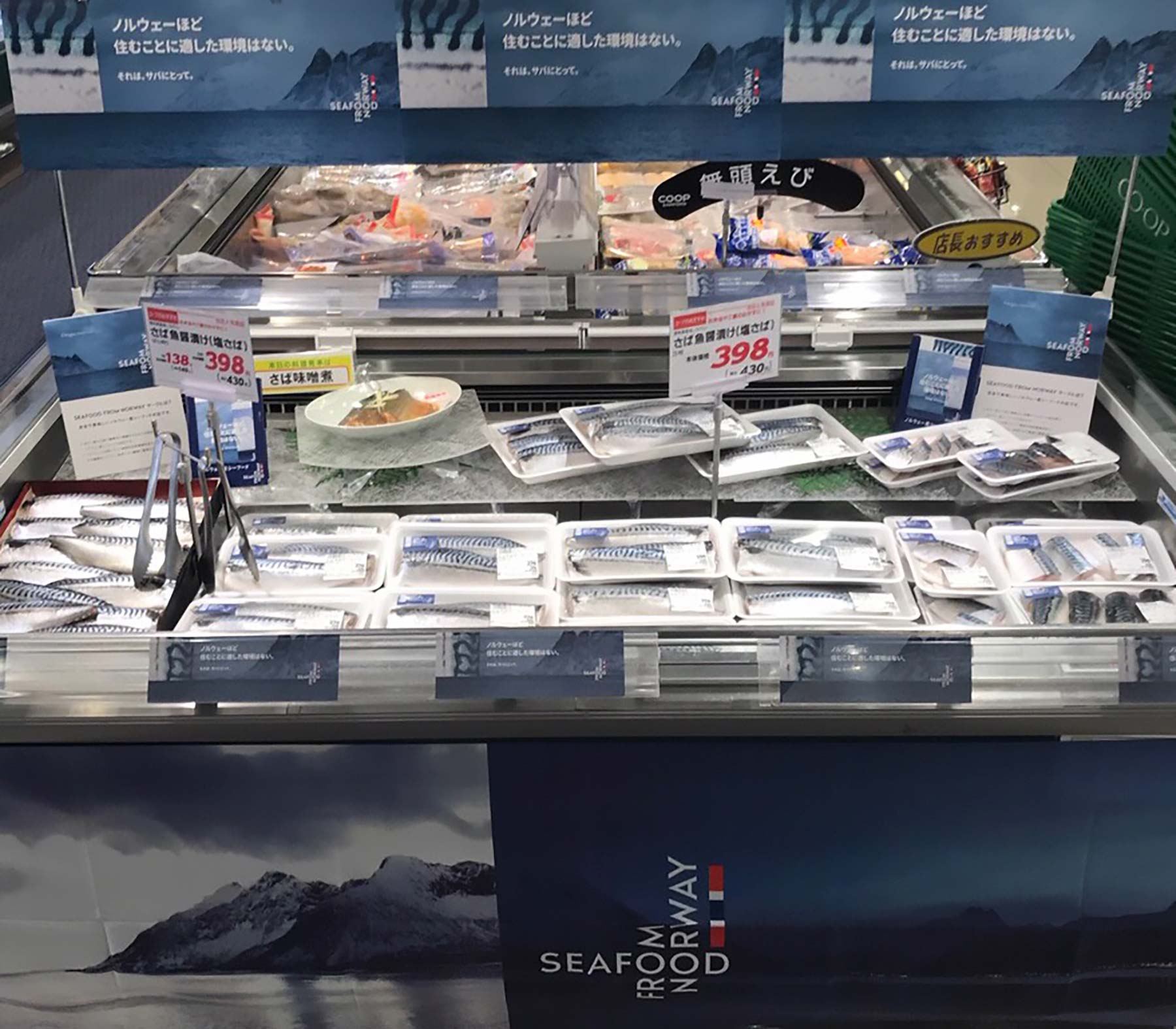 Kosuke Yasuda in a mackerel factory