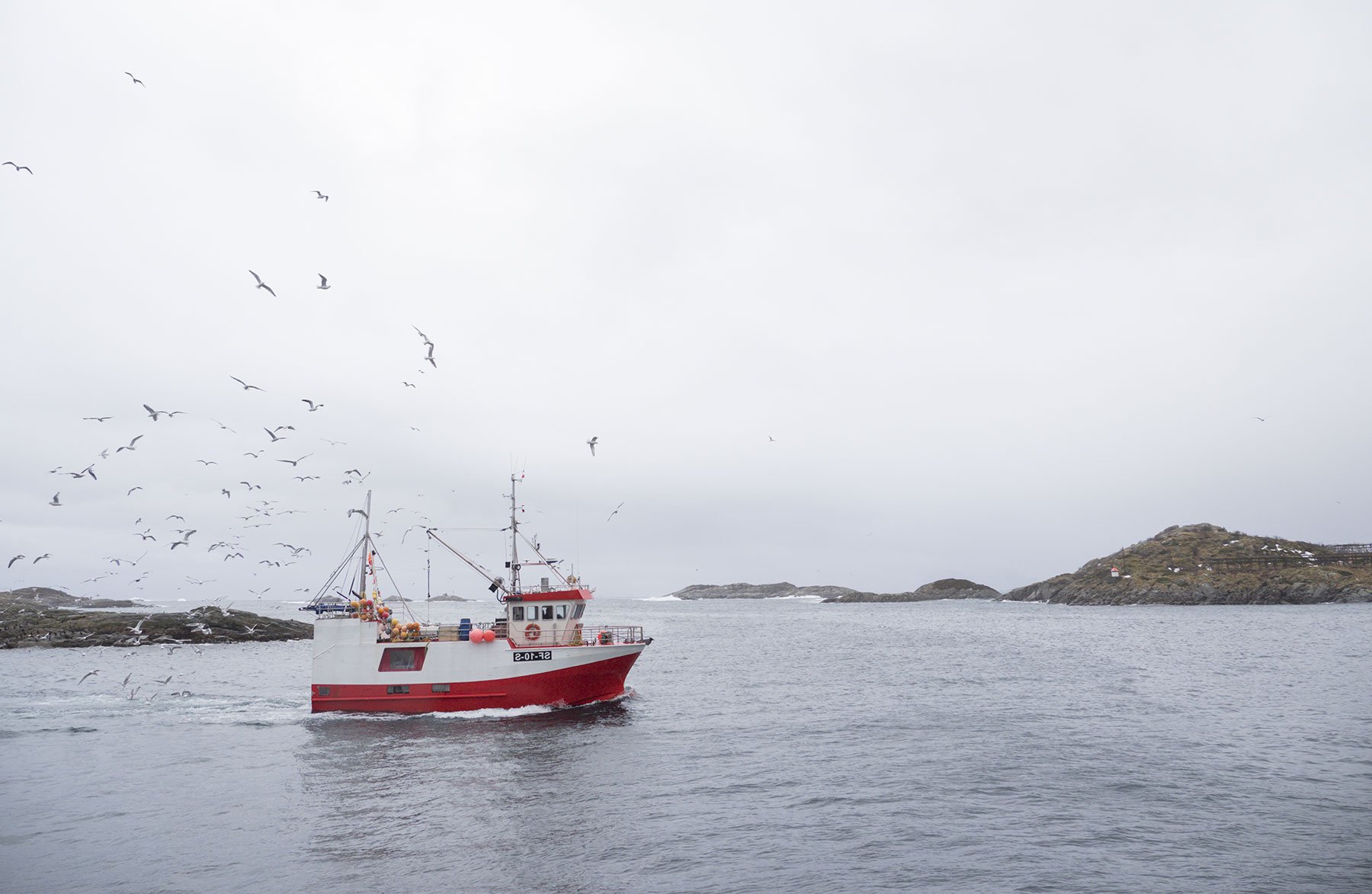 Fishing boat heading out to sea